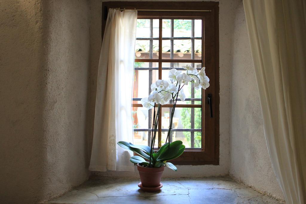 Posada Restaurante Casa De La Sal 坎德拉里奥 外观 照片